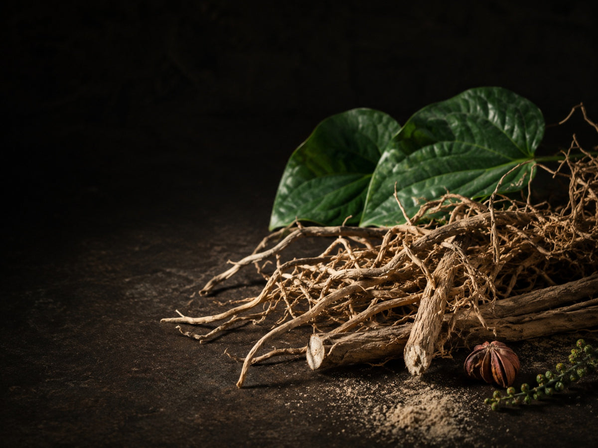 Kava root and botanicals